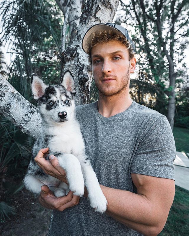 Logan Paul Phone Number, Email Address, House Address, Biography